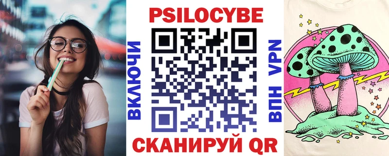 Псилоцибиновые грибы Psilocybe Дигора
