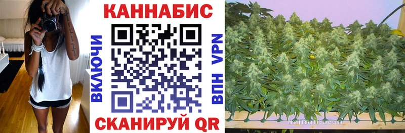 Канабис AK-47 где купить hydra ТОР Дигора